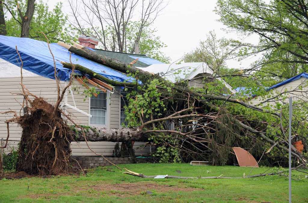trusted Salemburg, NC storm damage roof repair experts